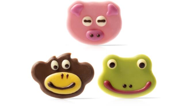 Dieren assortiment