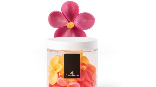Bloem jasmine 15 st