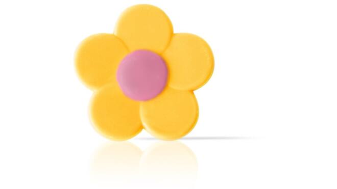 Boterbloem