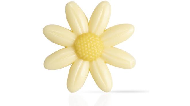 Daisy XL