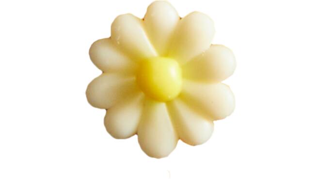 White daisy med.decoratie