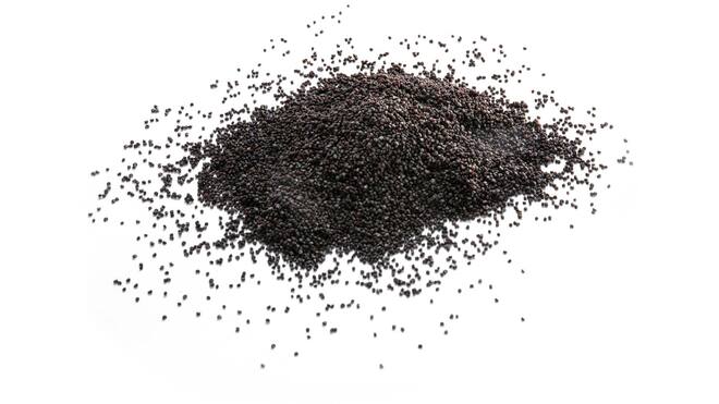 Blauwmaanzaad 5kg