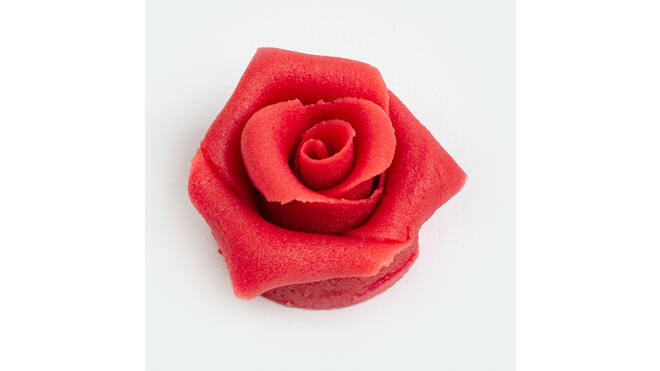 Rozen rood 6 blaadjes