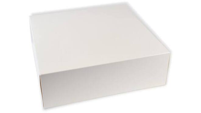 Vensterdoos b&c 25x25x8 blanco