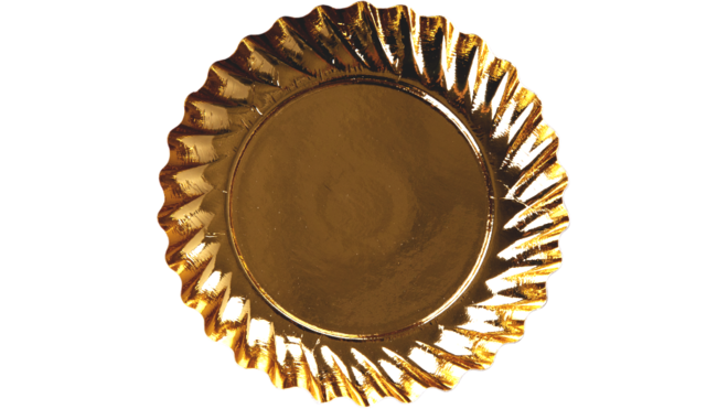 Schotel Ø9 goud