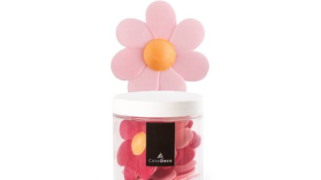 Bloem lucy 10 st