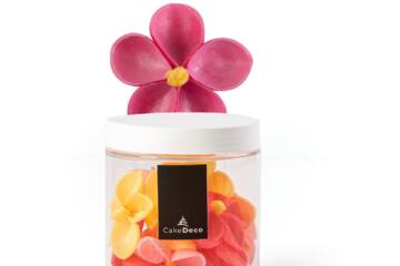 Bloem jasmine 15 st