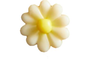 White daisy med.decoratie