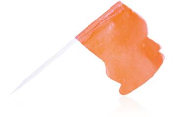 Vlagprikker oranje 144st