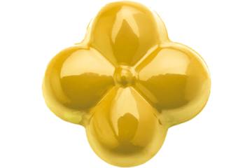 PowerFlowers geel 50 gram