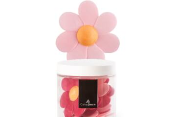 Bloem lucy 10 st