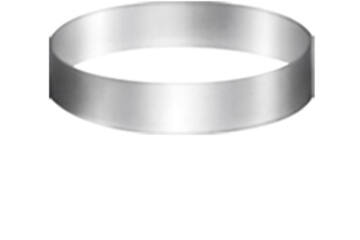 Bavaroisring rvs Ø 160 x 45 mm
